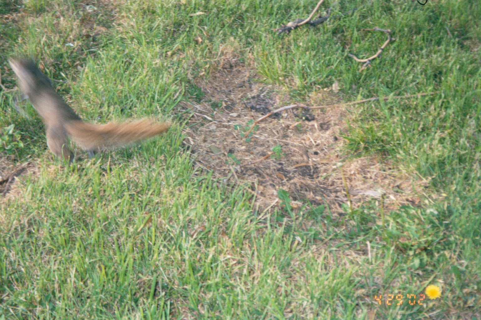 ./Ragtime/52 - Orange TX Apr 28 to Apr 29/picture16.jpg